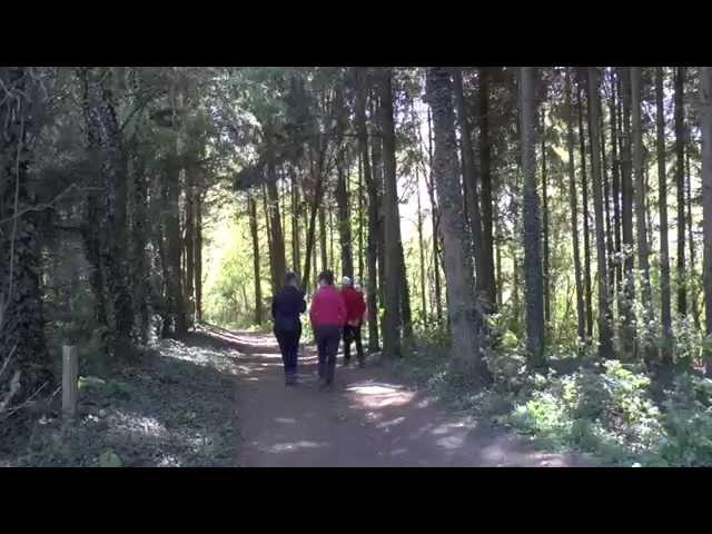 De bronnen van de Voer: de mooiste wandeling van Vlaanderen