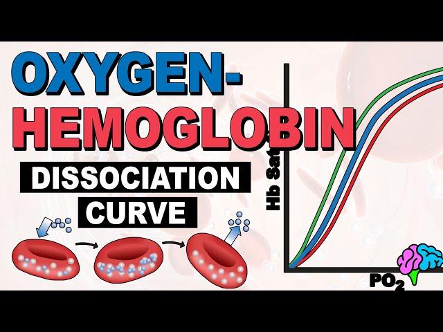 The Oxygen Hemoglobin Dissociation Curve EXPLAINED!