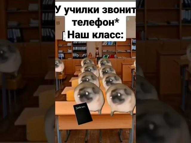 #чундра-чучундра