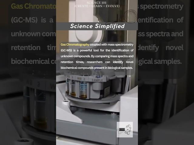 Gas Chromatography: The Power of Separation