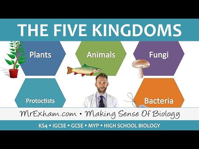 5 Kingdom Classification - GCSE Biology (9-1)