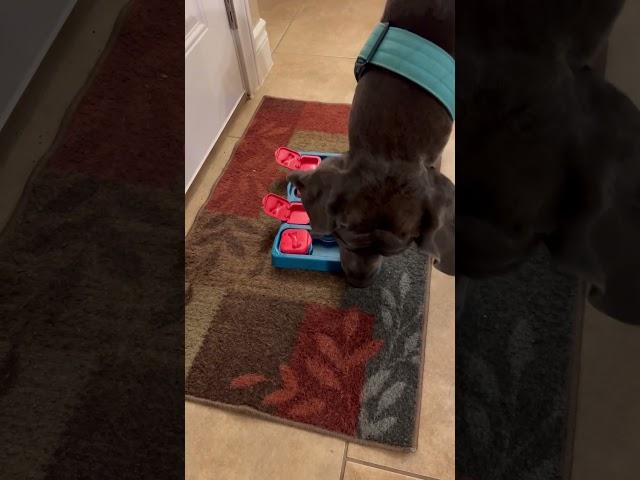 Izzy and the interactive puzzle