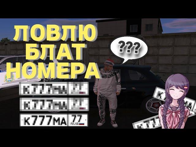 ЛОВЛЮ БЛАТ НОМЕРА НА AMAZING RP!!! ЧТО ИЗ ЭТОГО ВЫШЛО???