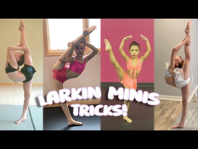 Favorite Tricks with the Larkin Minis! (part 1)