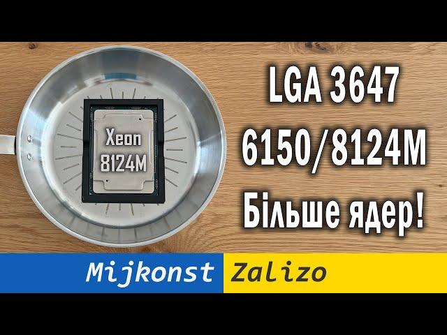 Xeon Platinum 8124M (6150, 6148, 6138) – огляд продуктивності та можливостей