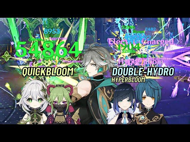 Quickbloom VS Double Hydro! Best Alhaitham Team?