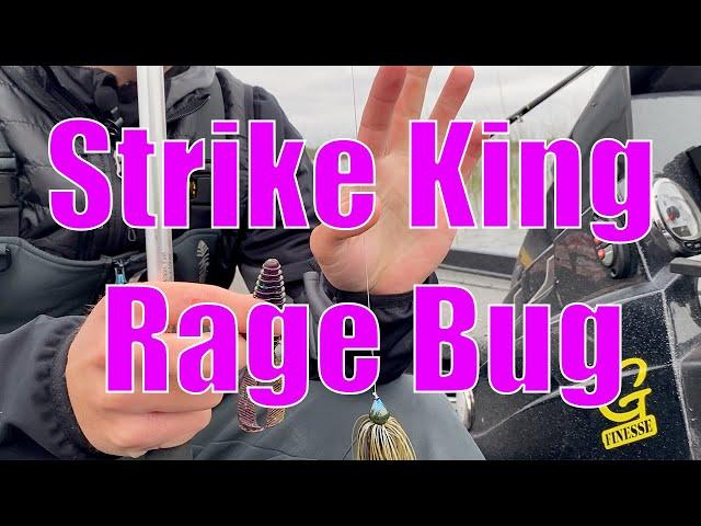 The Strike King Rage Bug | Jig Trailer? Or Texas Rig?