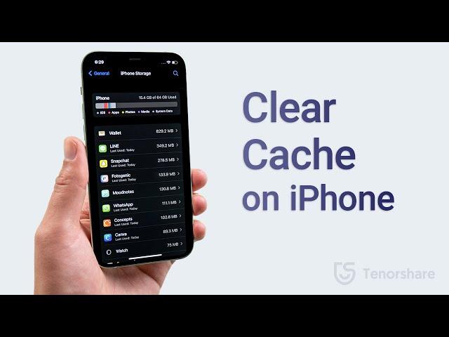 How to Clear Cache on iPhone (6 Ways)