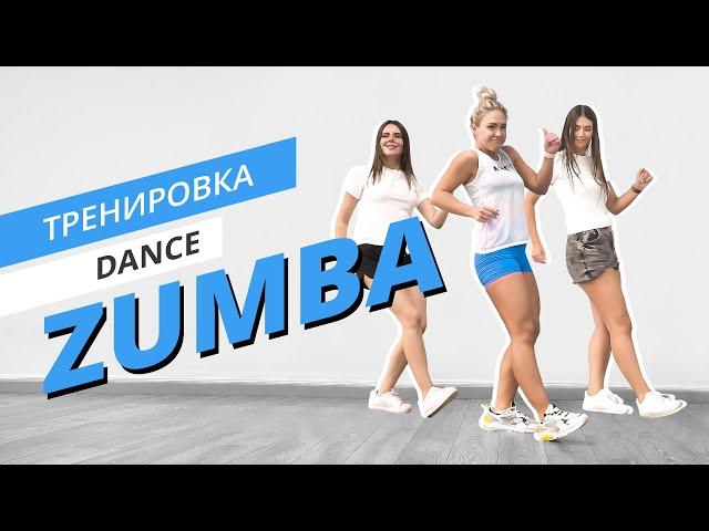 ZUMBA с командой MOTE | Зумба для начинающих | Танцевальная тренировка | Mote Fitness