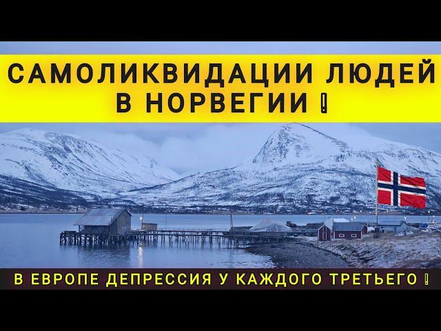 В ЕВРОПЕ ДЕПРЕССИЯ ДАЖЕ У СОБАК  СЕРАЯ БЕСПЕРСПЕКТИВНАЯ ЖИЗНЬ 