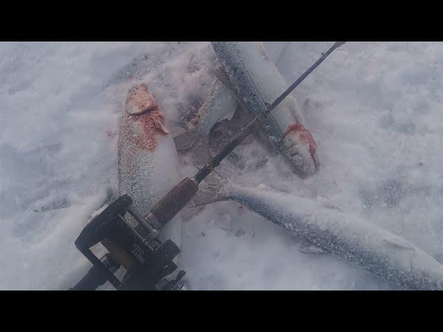 Байкал первая рыбалка, куча впечатлений и год ожиданий! Baikal fish