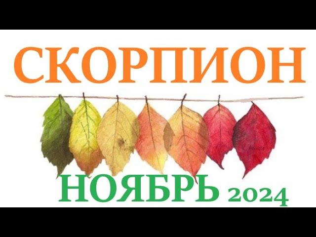 СКОРПИОН НОЯБРЬ 2024  Прогноз на месяц таро расклад Все знаки зодиака! 12 домов гороскопа!