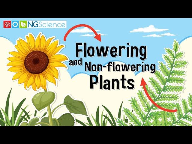 Flowering and Non-flowering Plants