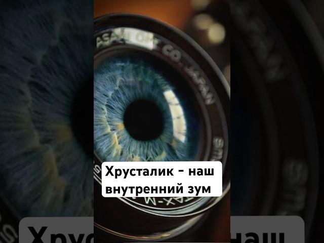 Про хрусталик 