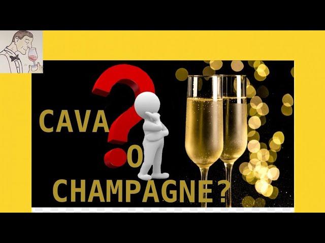 (5) DIFERENCIAS ENTRE EL CAVA Y EL CHAMPAGNE