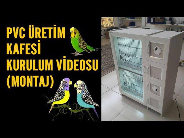 Pvc Üretim Kafesi  Kurulum Videosu-Muhabbet Kuşu