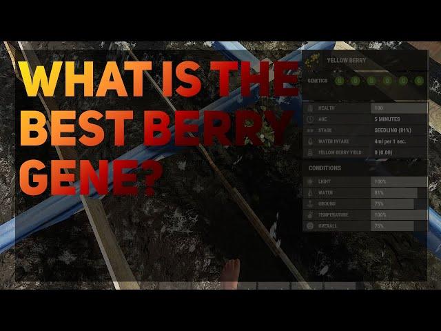 What is the best berry gene? | Rust