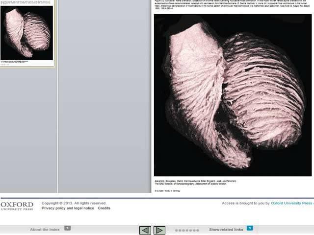 European Society of Cardiology Textbooks: A short guide