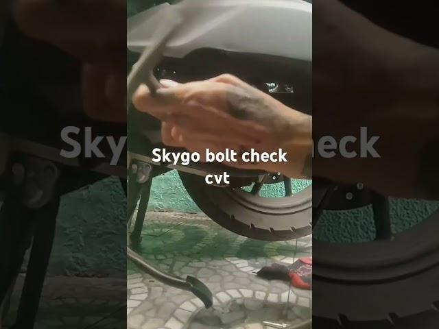 skygo bolt cvt check