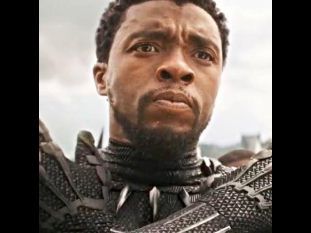 Black Panther Edit INSANE