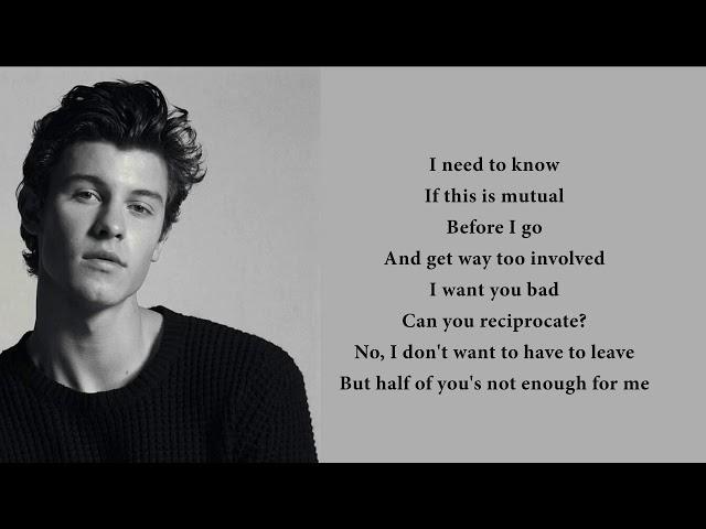 Shawn Mendes - Mutual (lyrics)