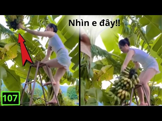 The Funniest Videos Laugh Out Loud ( P107 ) | Comedy 5 Minutes