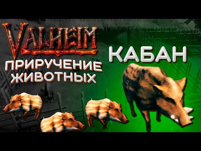 Valheim ферма - как приручить кабана | Приручение животных Valheim | Вальхейм гайд #3