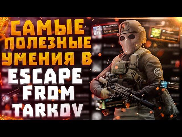 ESCAPE FROM TARKOV | ЭЛИТНЫЕ УМЕНИЯ И КАК ИХ ВЫКАЧИВАТЬ