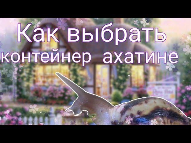 Как выбрать контейнер для улиток Ахатин | Увеличиваю жильё улитке ахатине единорожке |