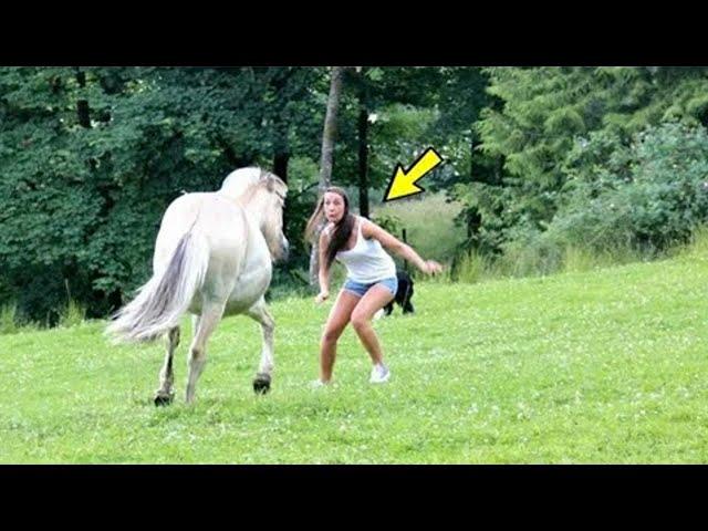 This video shocked the whole world! Look what the horse did to the girl!