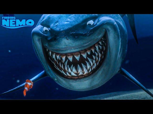 Scene with Sharks | Finding Nemo