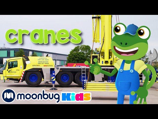 Gecko's Crane - with Subtitles | Gecko's Garage | Cartoons for Kids | Moonbug Literacy