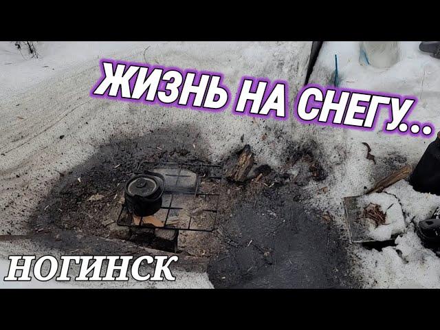 КАК МОГУТ ЖИТЬ ЛЮДИ В 21 веке! НОГИНСК- КАК НАДО ЖИТЬ И РАДОВАТЬСЯ!! БЕЗ философии...на этот раз...