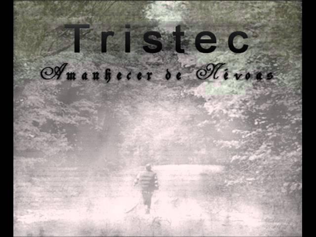 Tristec-Atmosphere( Joy Division Cover)