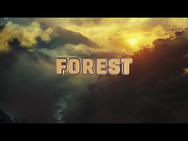 The Forest I Title Opener for After Effects 2024