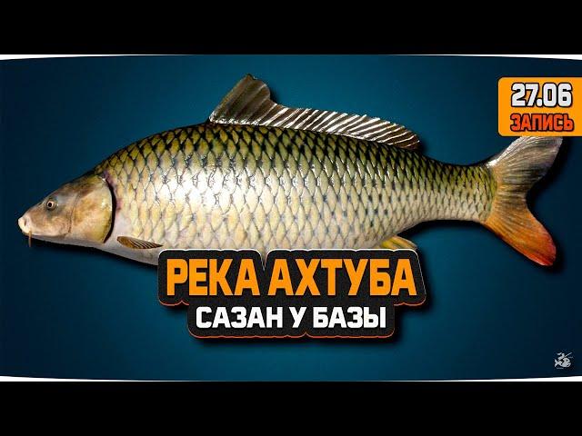 Сазан у базы на реке Ахтуба — Русская Рыбалка 4