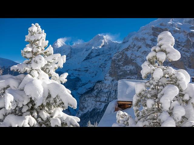 Beautiful Winter Scenes in Switzerland - Winter in Wengen - Mürren