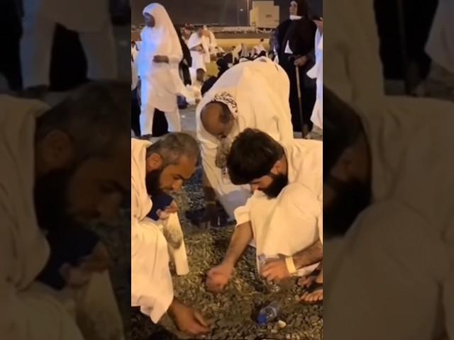 Hujjaj collecting pebbles muzdalifah Makkah  #muzdalifah #makkah #makkahlive #makkahmukarama