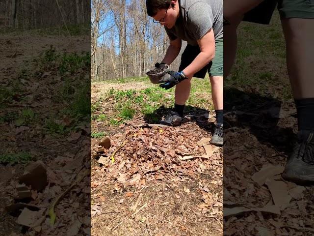 Easiest Way To Start A Compost Pile