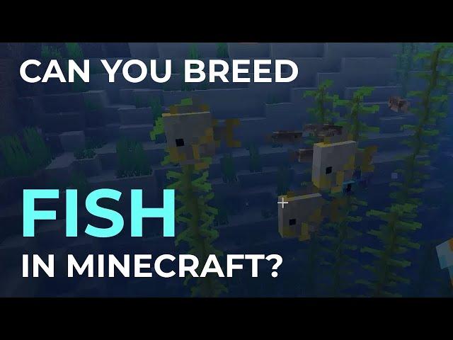 Can You Breed Fish in Minecraft