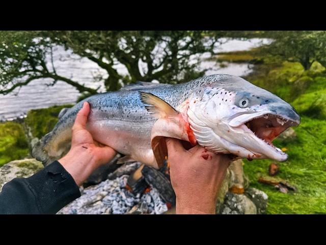 WHOLE SALMON Smoked Over Fire Outdoors | ASMR Cooking in Nature