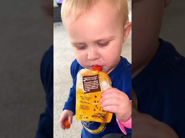 A Day of Yummy Toddler Meals #toddlereats #bentgokids