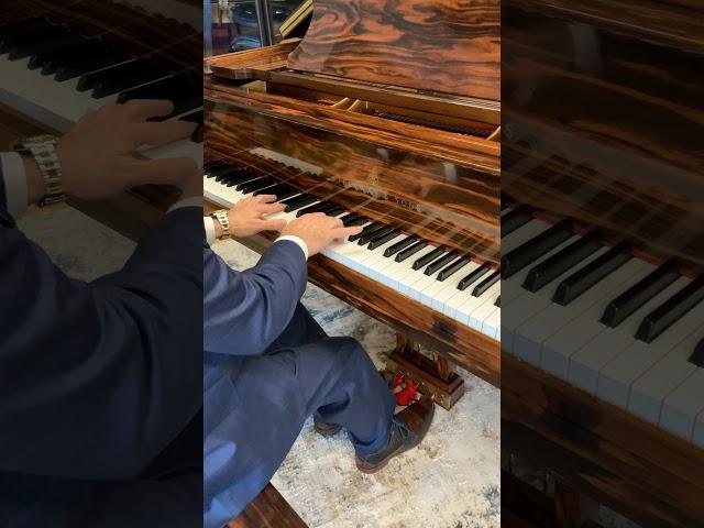 Steinway Piano Gallery ||  Steinway & Sons Macassar Ebony Crown Jewel Collection