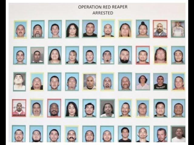 OPERATION RED REAPER RECENT FEDERAL INDICTMENT