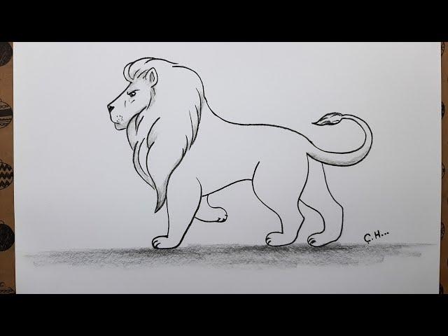 How to Draw Lion Step by Step, Easy Pencil Drawings, Drawing Hobby Animal Drawings