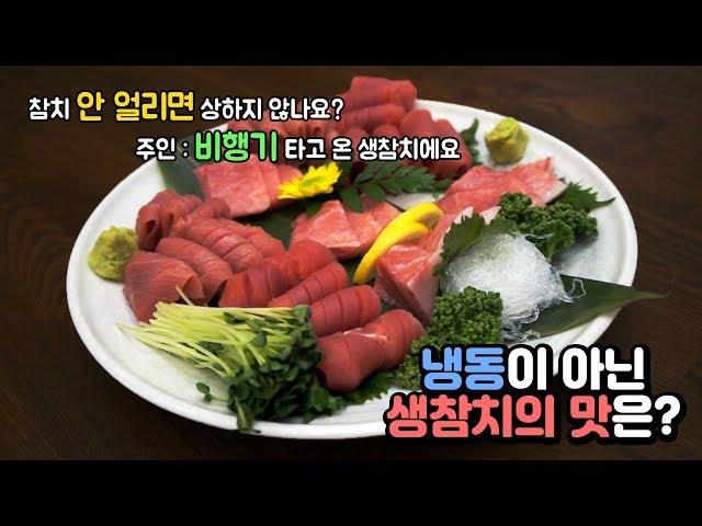 비행기 타고 온 참치? 냉동 참치랑 차원이 다르다! 생참치 부위별로 먹어보았습니다!