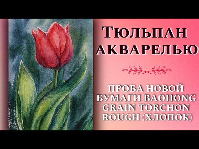 Как  нарисовать ТЮЛЬПАН акварелью ~ How To Draw A Beautiful Tulip In Watercolor