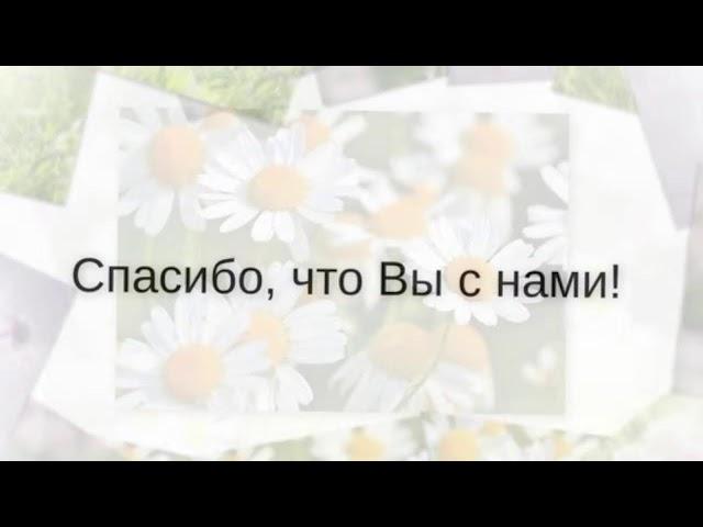 Бизон+YouTube+OBS