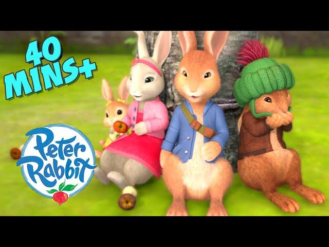 Peter Rabbit - Sweet Friendship Moments | Cartoons for Kids