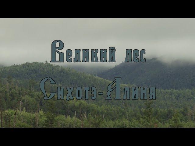 Великий лес Сихотэ-Алиня